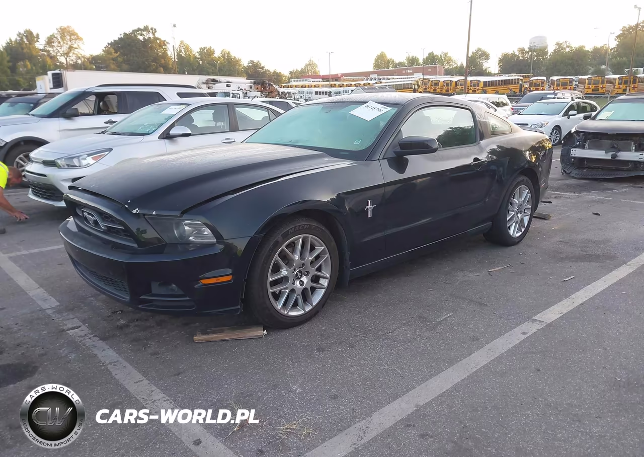 2014 Ford Mustang V6 Premium VIN:1ZVBP8AM1E5260631 - 2