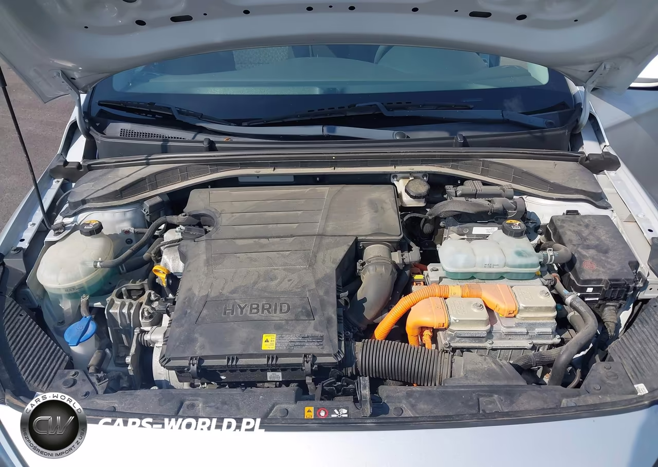 2019 Hyundai Ioniq Hybrid Blue VIN:KMHC65LC0KU158831 - 10