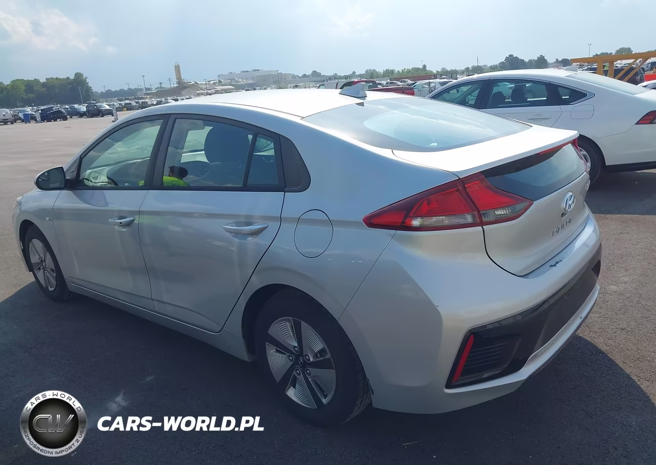 2019 Hyundai Ioniq Hybrid Blue VIN:KMHC65LC0KU158831 - 12