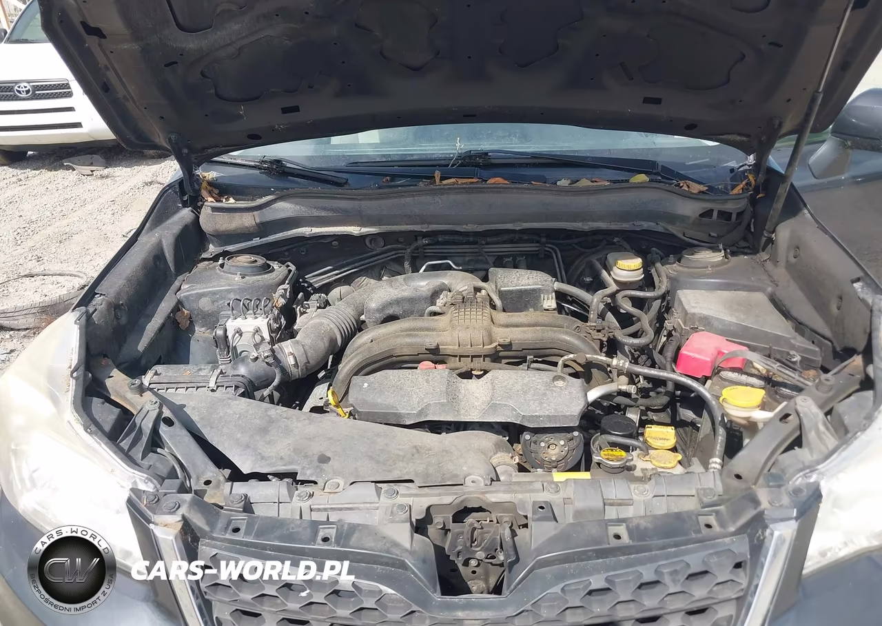 2014 Subaru Forester 2.5I Premium VIN:JF2SJAEC2EH468014 - 10