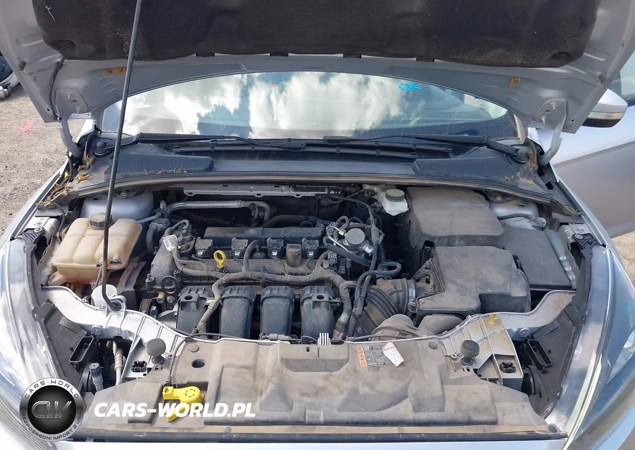 2018 Ford Focus Sel VIN:1FADP3M26JL261519 - 10