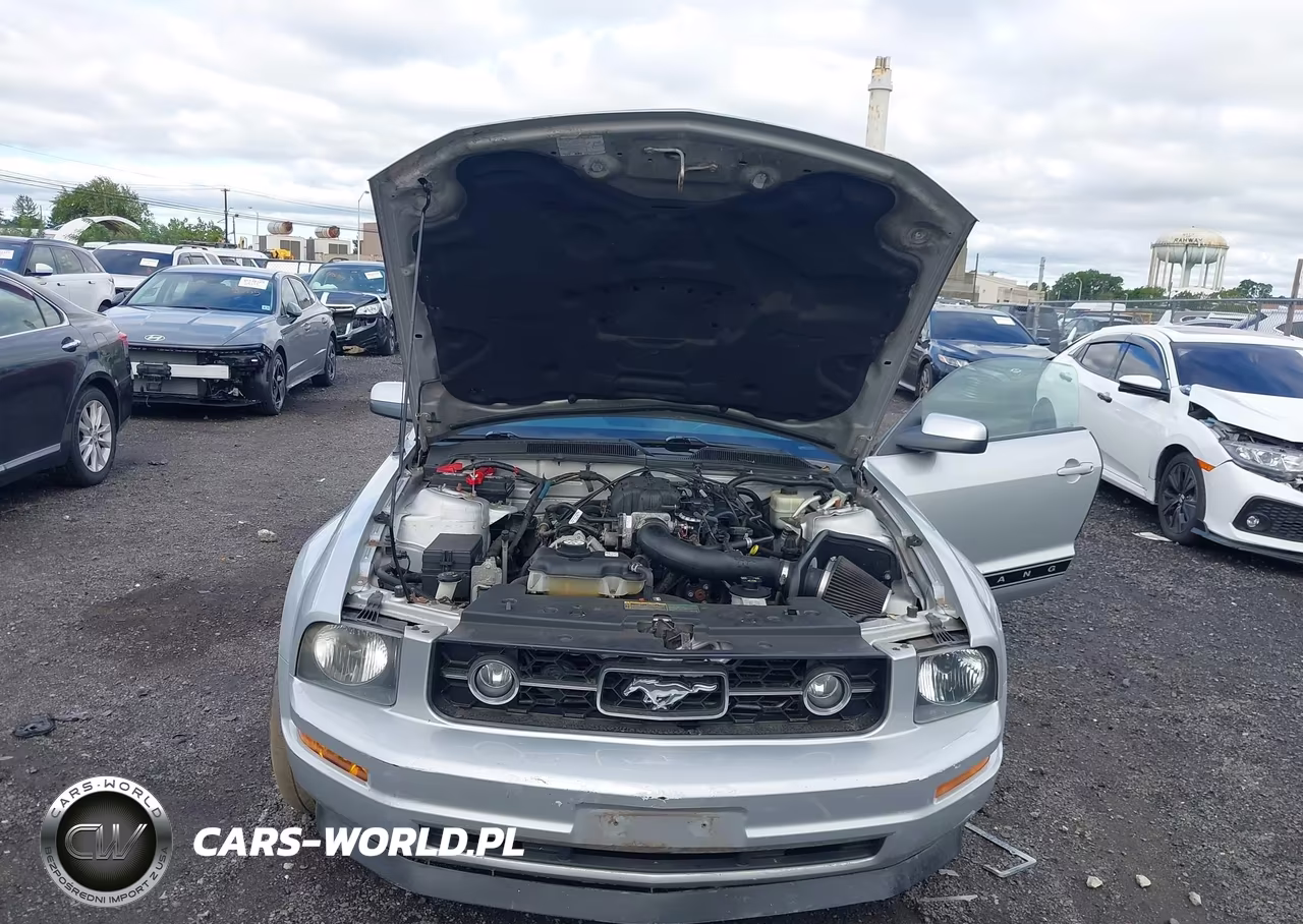 2006 Ford Mustang V6 VIN:1ZVHT80N265257805 - 10