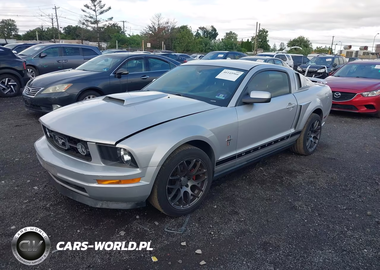 2006 Ford Mustang V6 VIN:1ZVHT80N265257805 - 2