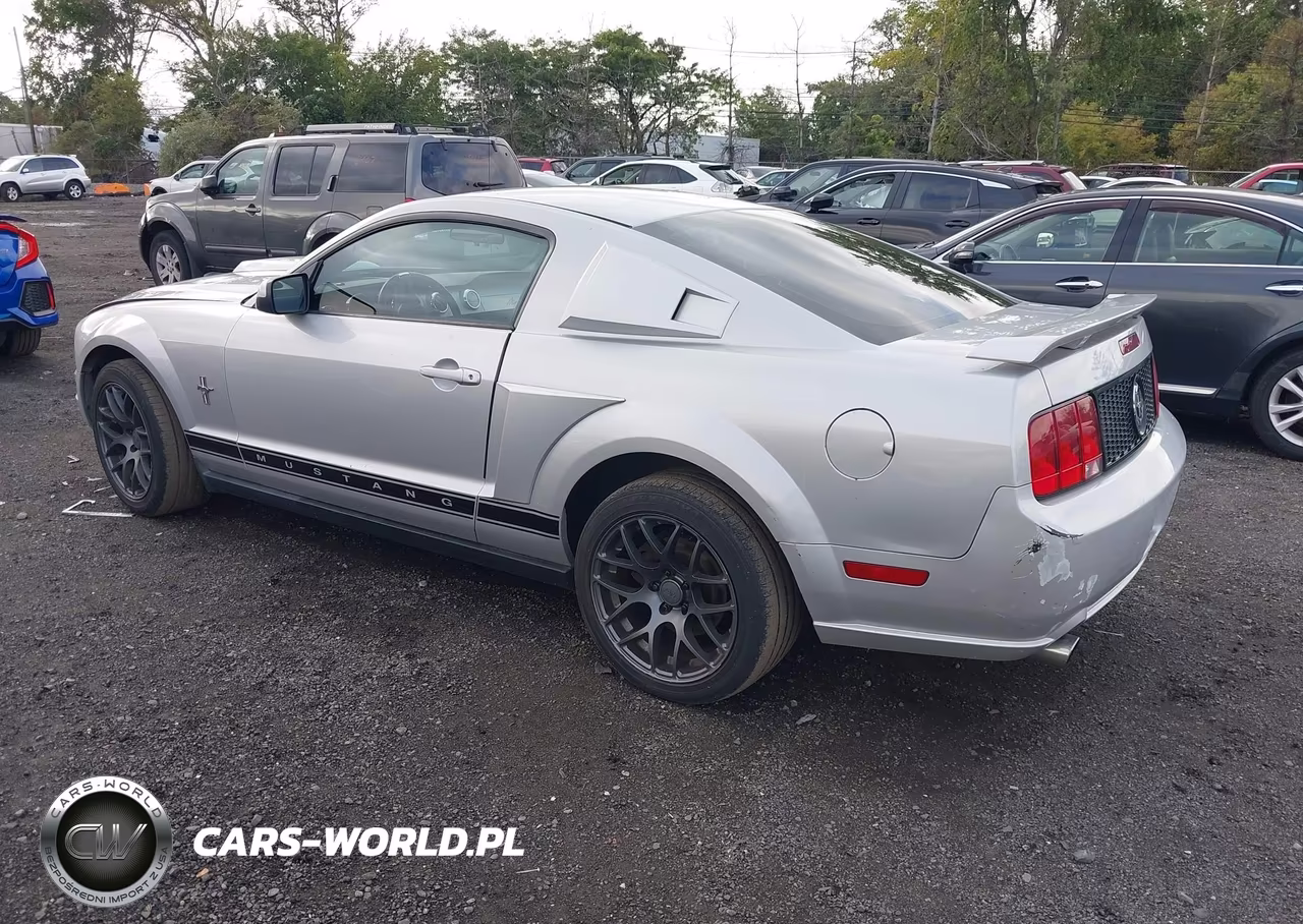 2006 Ford Mustang V6 VIN:1ZVHT80N265257805 - 3