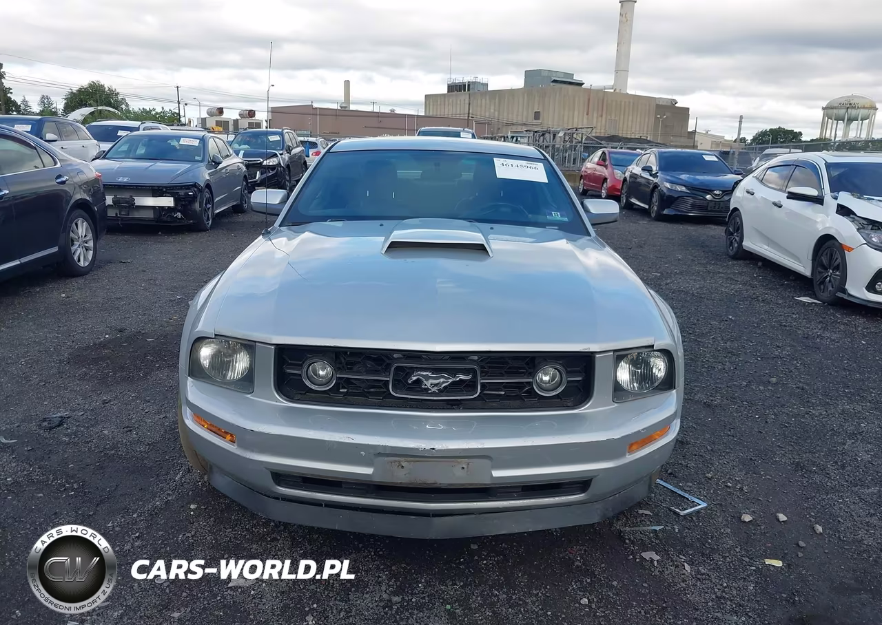 2006 Ford Mustang V6 VIN:1ZVHT80N265257805 - 6