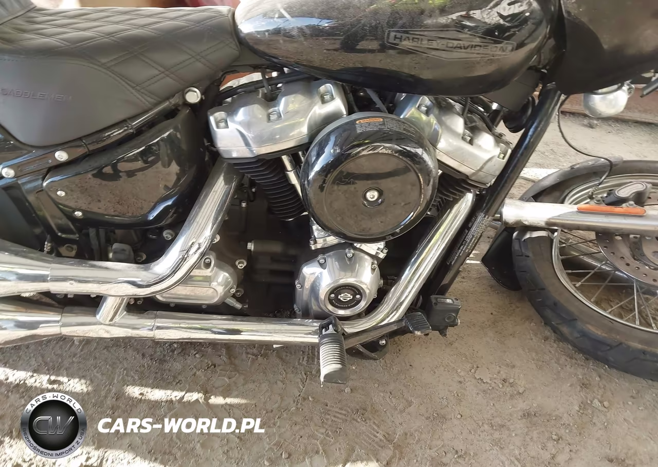 2020 Harley-Davidson Fxst VIN:1HD1BVJ23LB077268 - 8