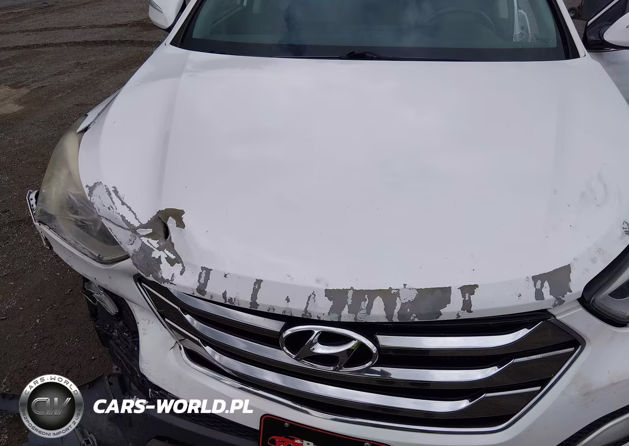 2014 Hyundai Santa Fe Sport 2.0L Turbo VIN:5XYZWDLA4EG130186 - 18