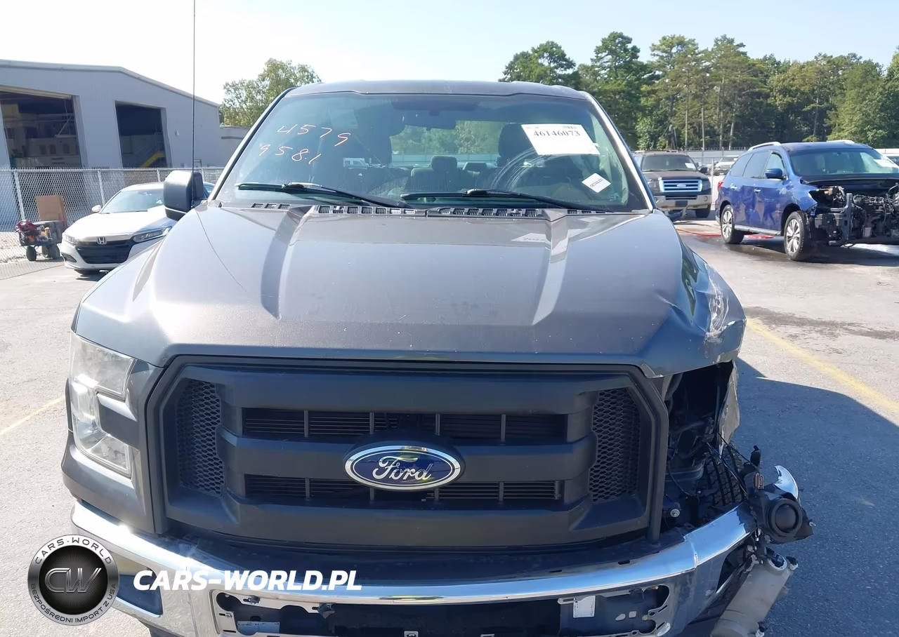 2015 Ford F-150 Xl VIN:1FTEW1EF5FKD71773 - 12