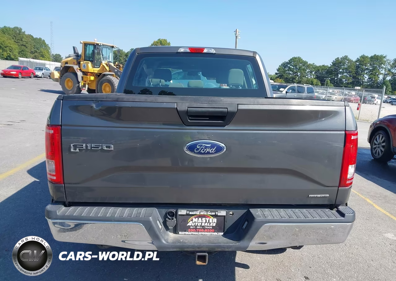 2015 Ford F-150 Xl VIN:1FTEW1EF5FKD71773 - 16