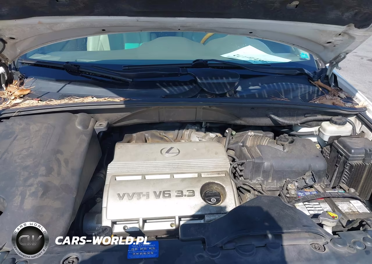 2005 Lexus Rx 330 VIN:2T2HA31U45C041579 - 10