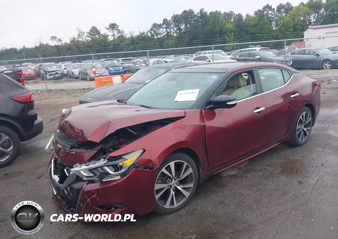 2016 Nissan Maxima 3.5 Platinum VIN:1N4AA6AP2GC390503 - 2