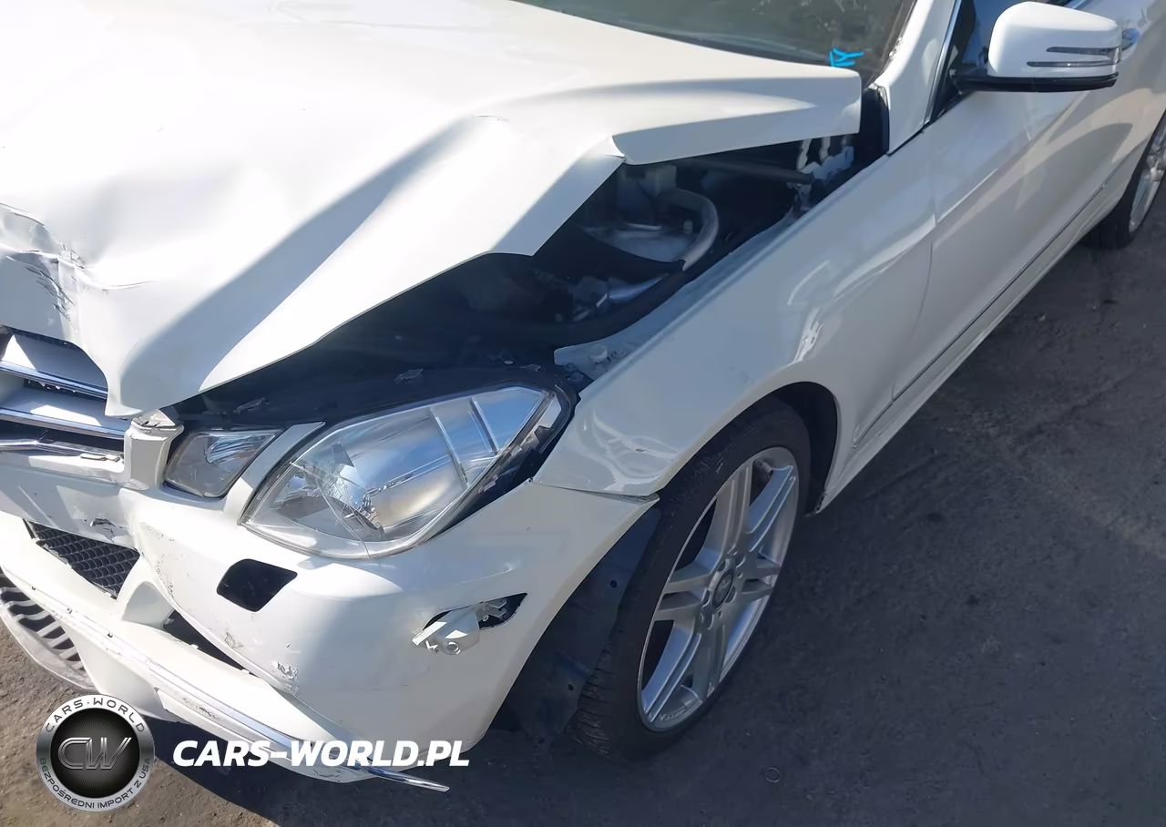 2011 Mercedes-Benz E 350 VIN:WDDKJ5GB8BF088313 - 12