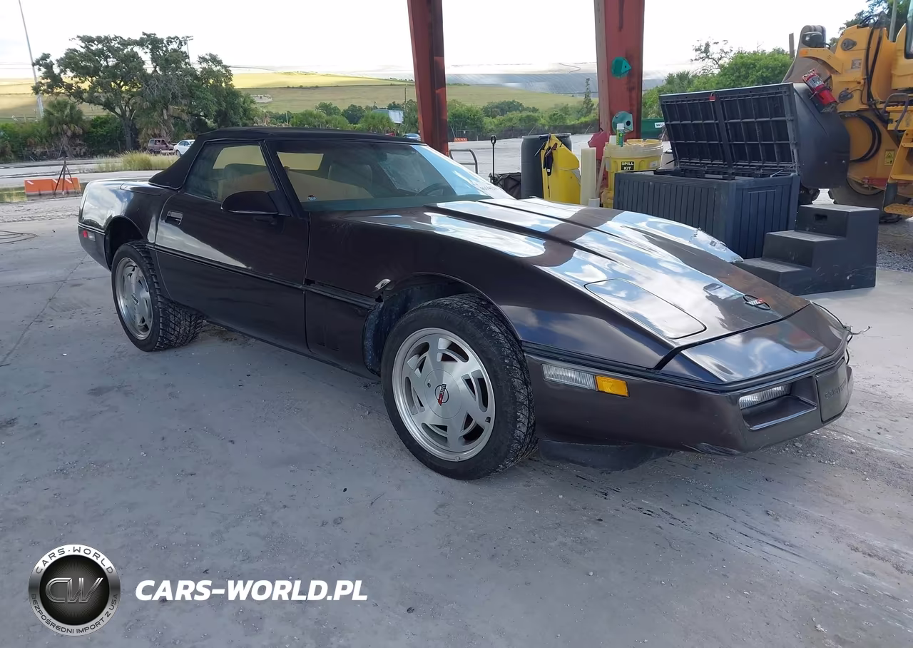 1989 Chevrolet Corvette VIN:1G1YY3182K5119815 - 1