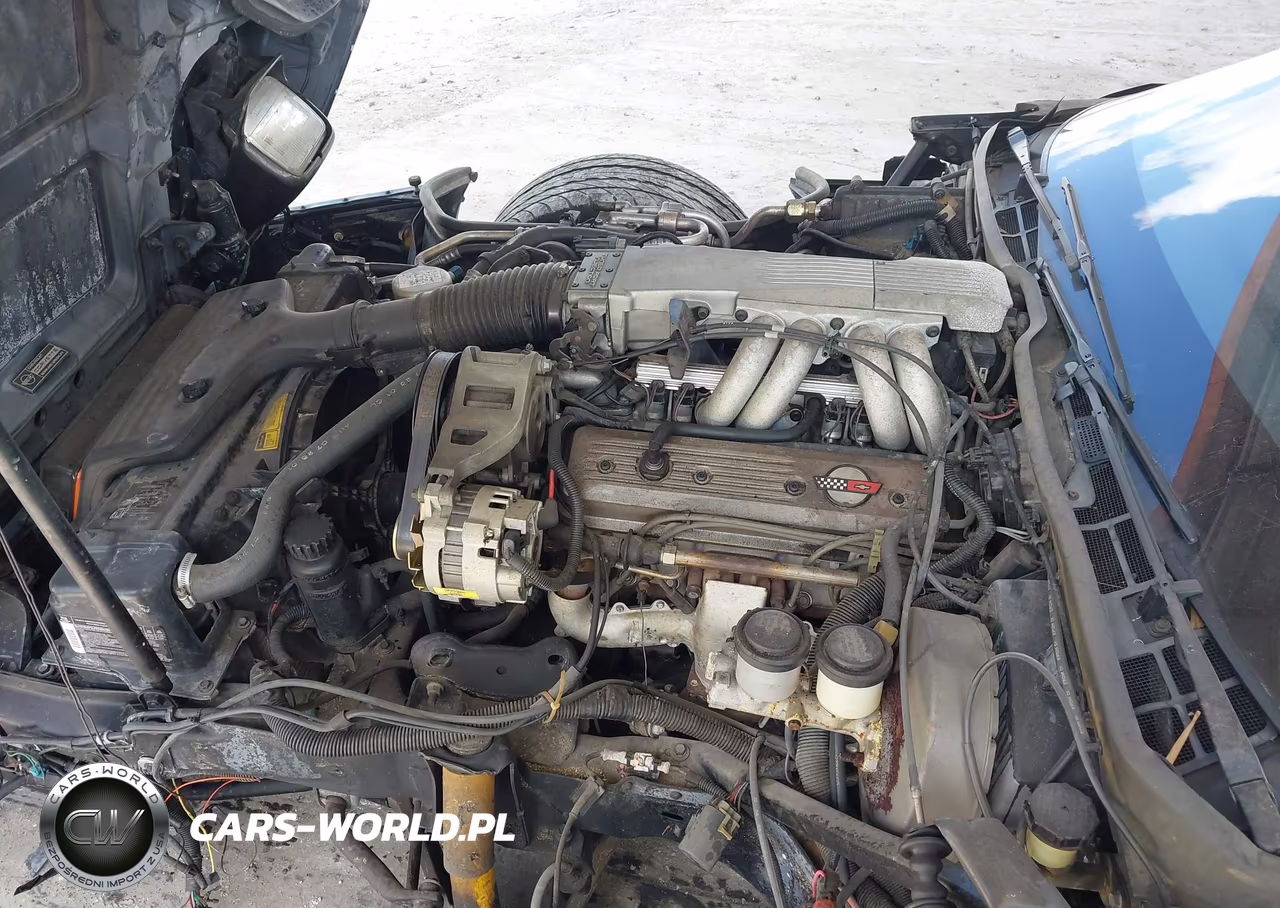 1989 Chevrolet Corvette VIN:1G1YY3182K5119815 - 10