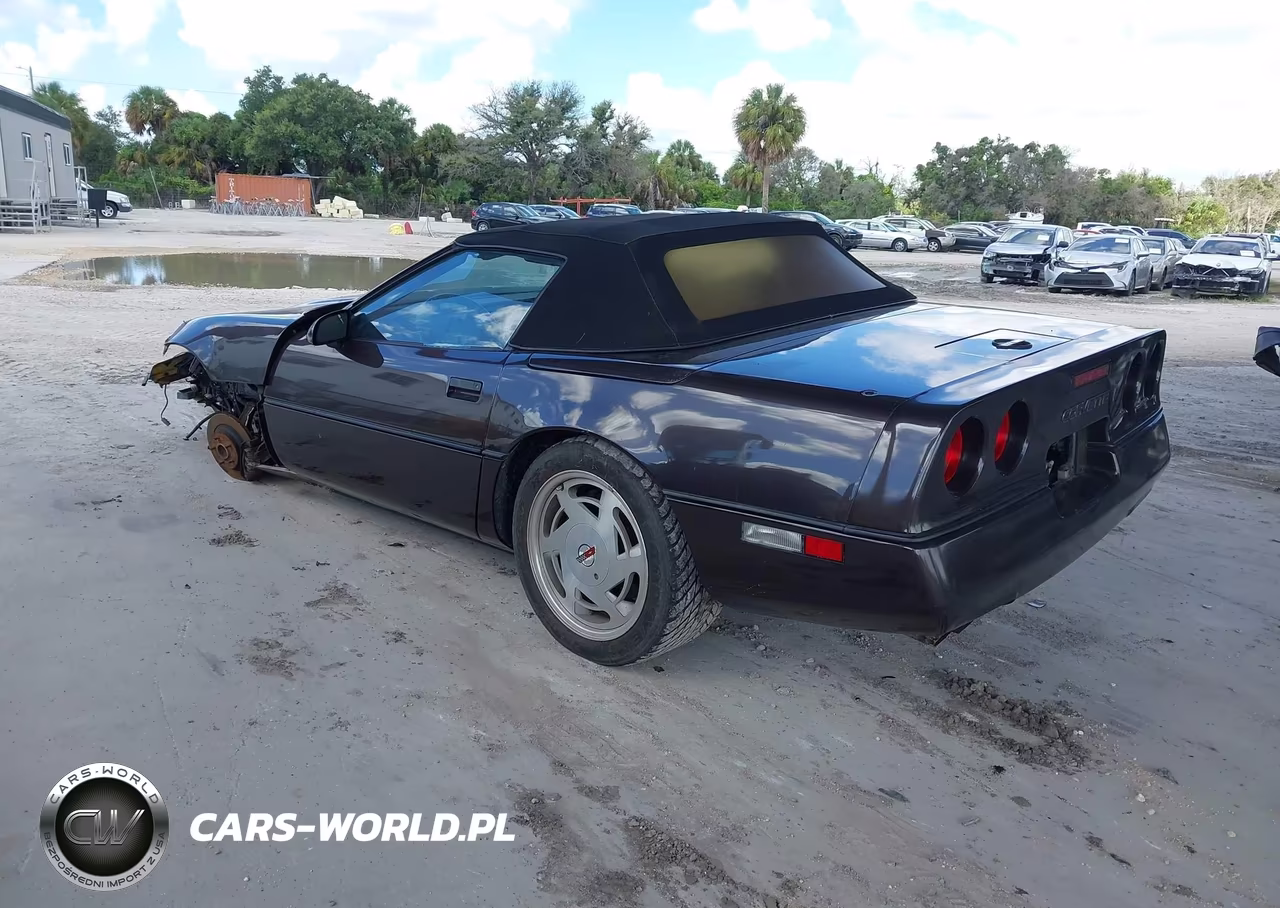 1989 Chevrolet Corvette VIN:1G1YY3182K5119815 - 3