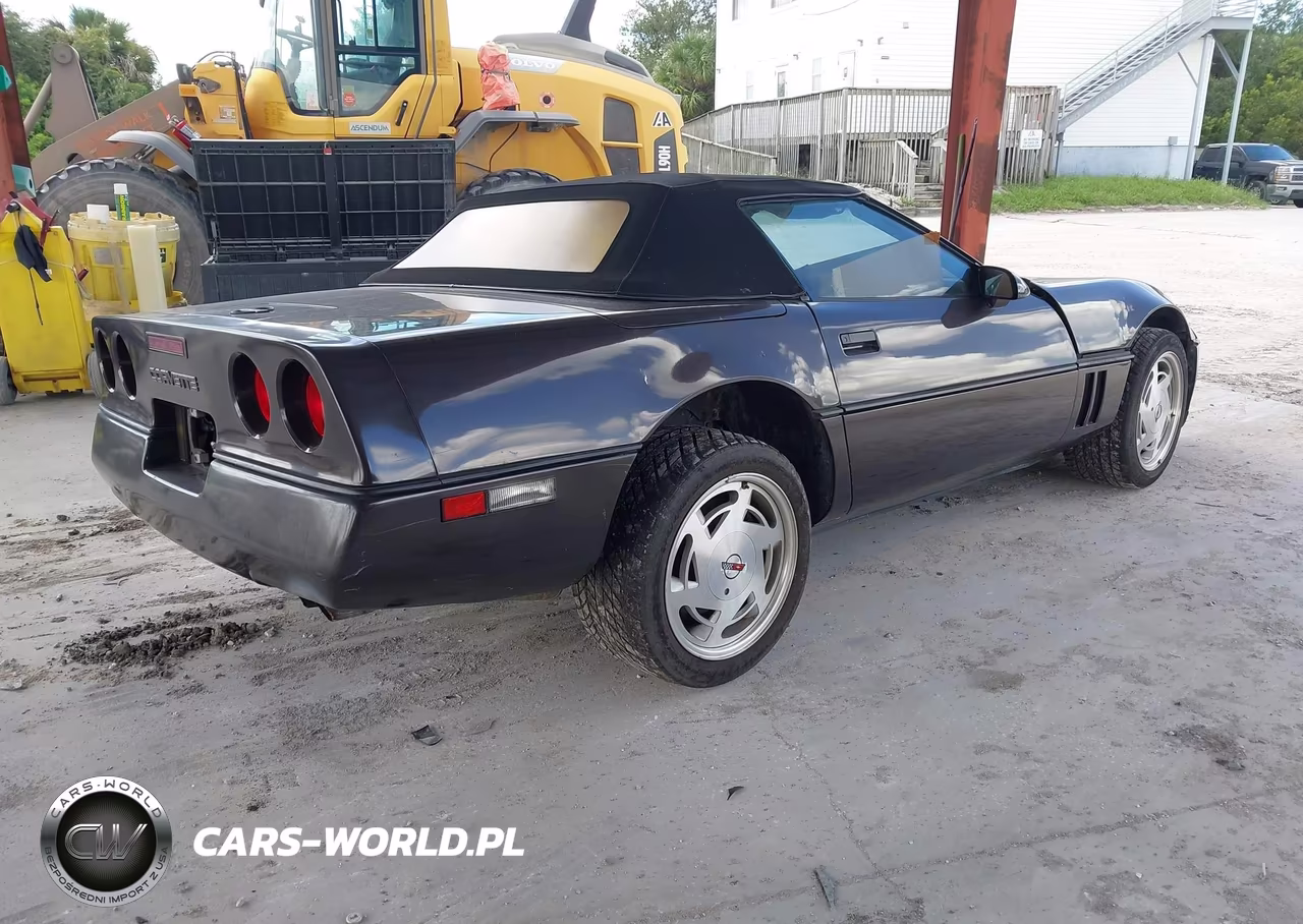 1989 Chevrolet Corvette VIN:1G1YY3182K5119815 - 4