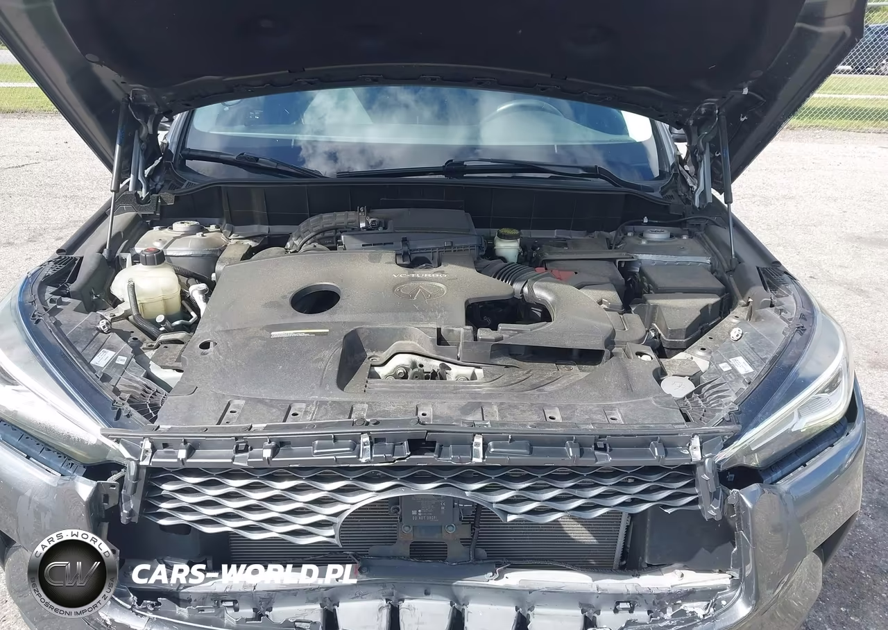 2019 Infiniti Qx50 Luxe VIN:3PCAJ5M1XKF145925 - 10