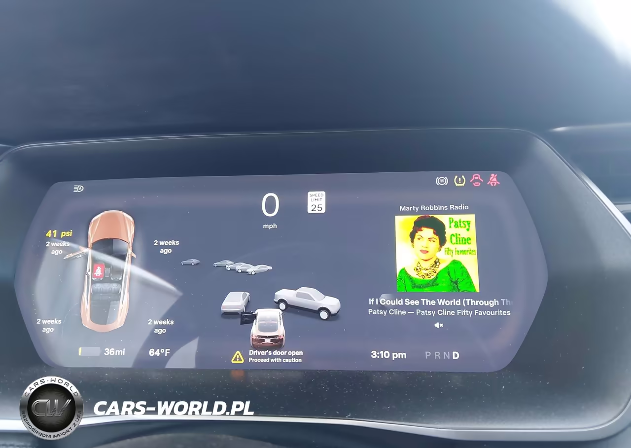 2019 Tesla Model S 100D-75D-Long Range-Standard Range VIN:5YJSA1E28KF345769 - 7
