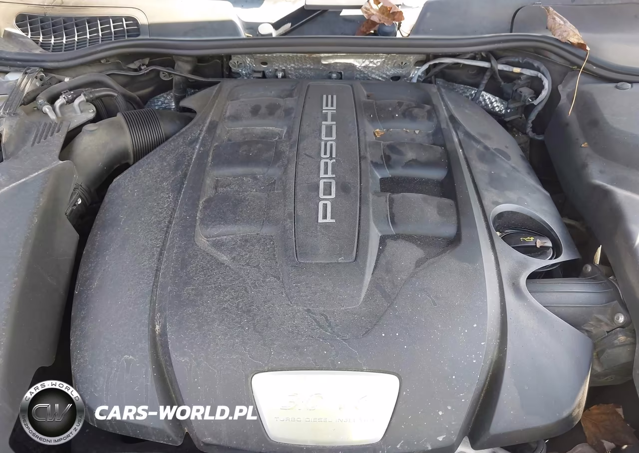 2014 Porsche Cayenne Diesel VIN:WP1AF2A28ELA31130 - 10