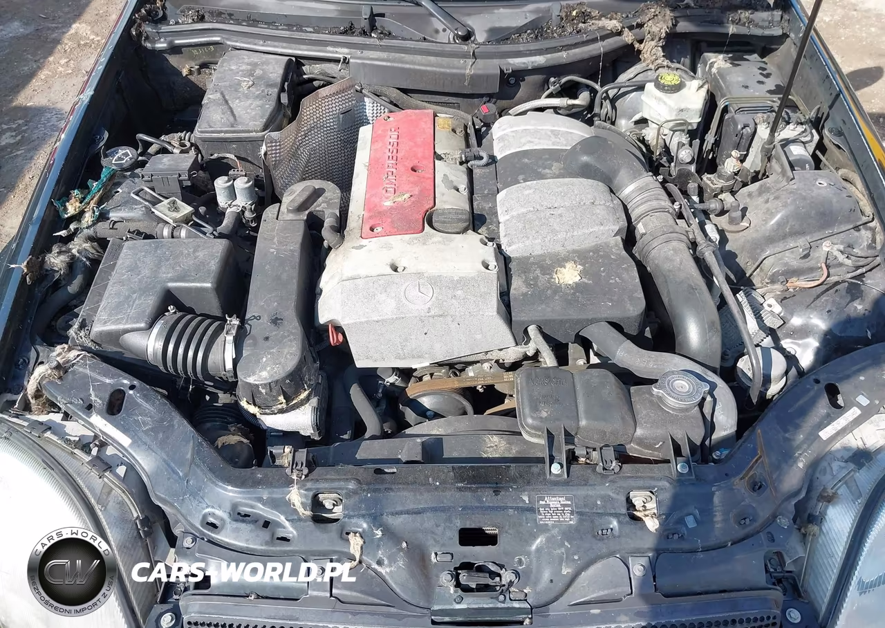 2001 Mercedes-Benz Slk 230 Kompressor VIN:WDBKK49F61F229037 - 10