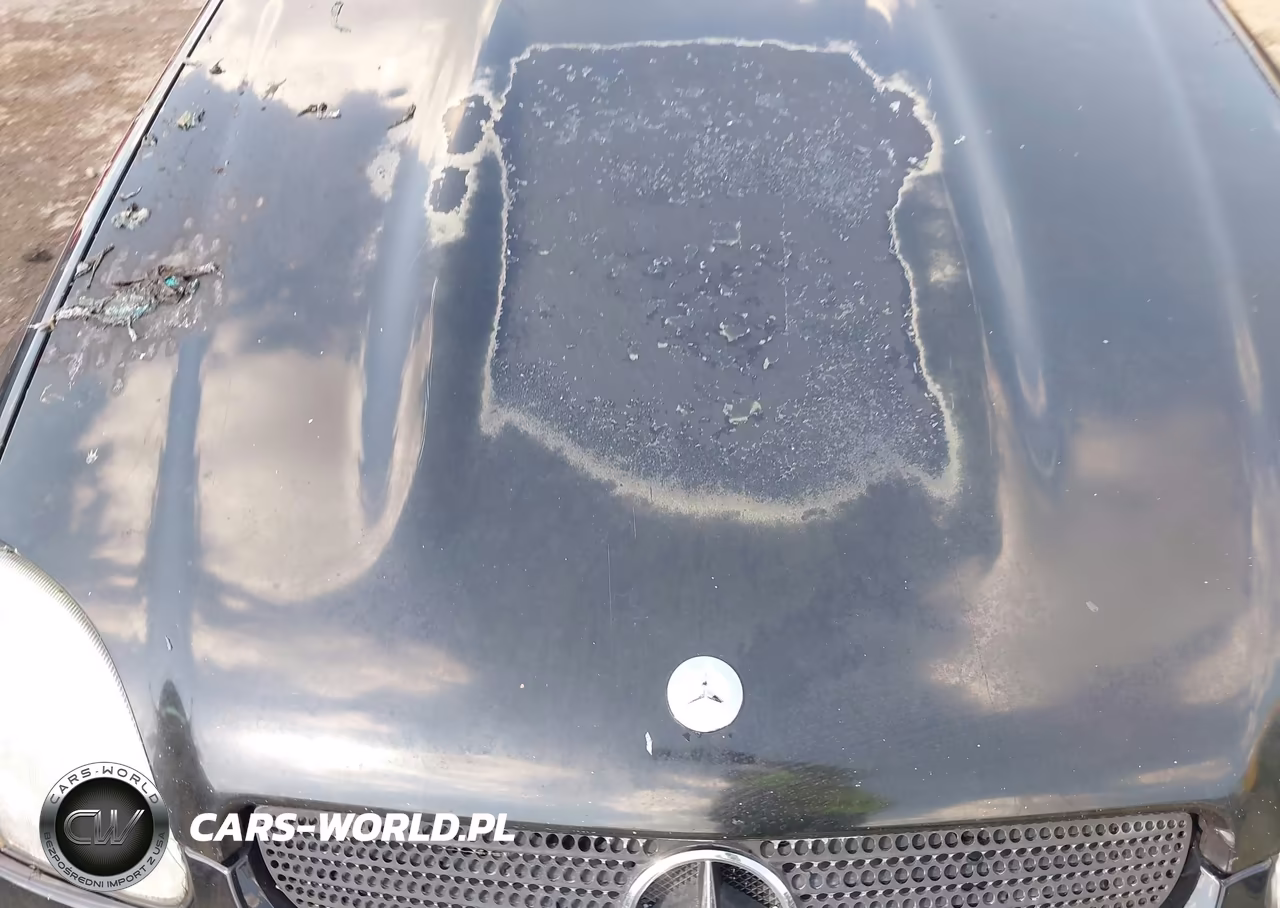 2001 Mercedes-Benz Slk 230 Kompressor VIN:WDBKK49F61F229037 - 6