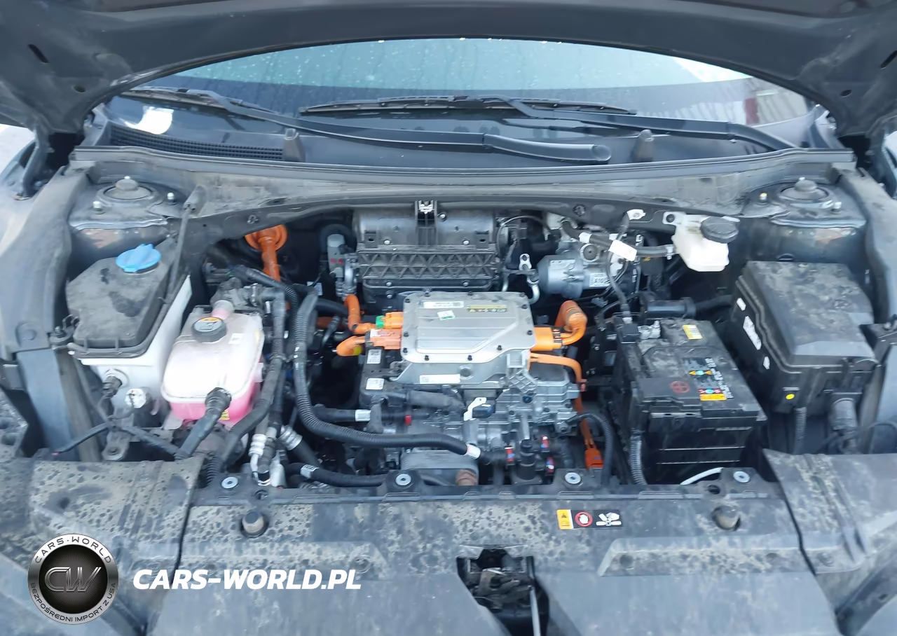 2024 Kia Ev6 Wind VIN:KNDC3DLC4R5188054 - 10