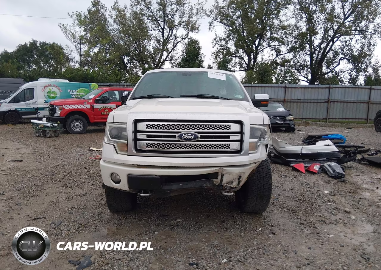 2013 Ford F-150 Platinum VIN:1FTFW1EF1DFB17858 - 12