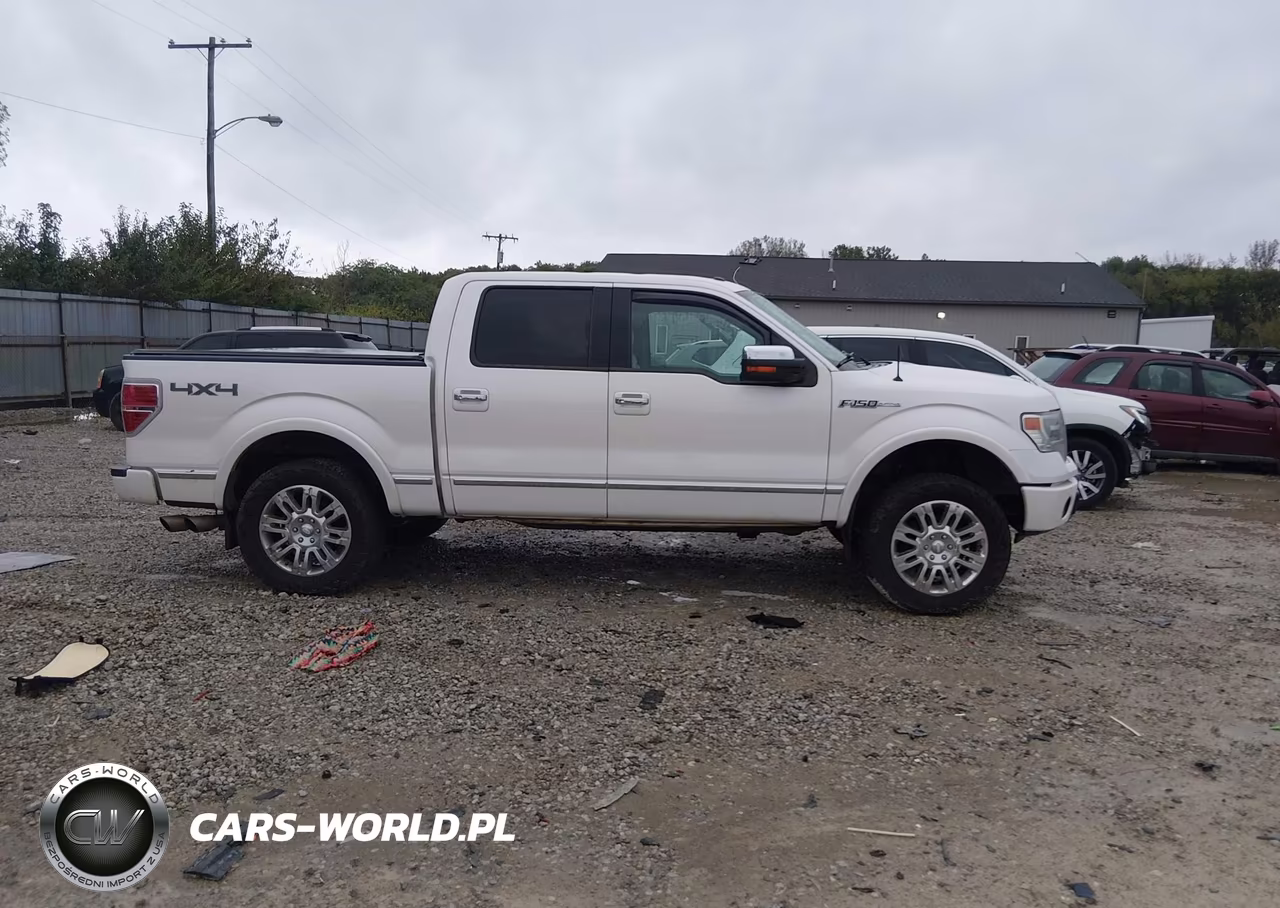 2013 Ford F-150 Platinum VIN:1FTFW1EF1DFB17858 - 13