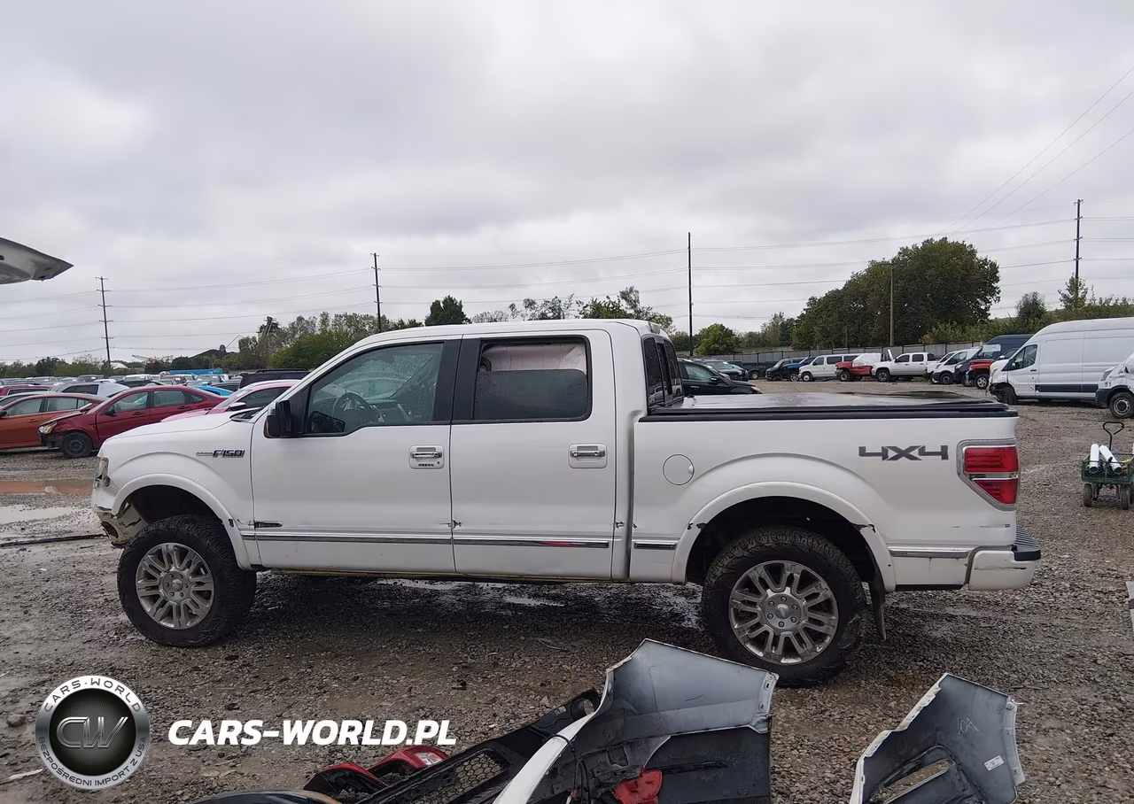 2013 Ford F-150 Platinum VIN:1FTFW1EF1DFB17858 - 14