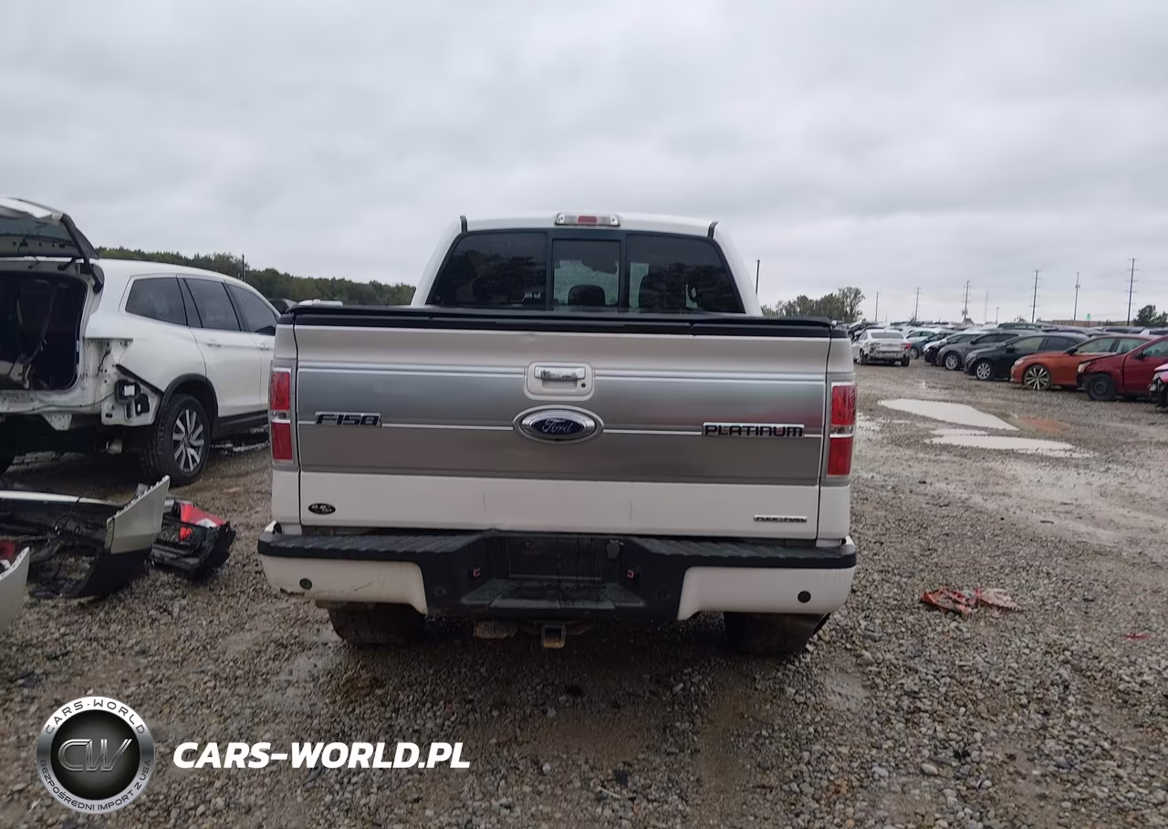 2013 Ford F-150 Platinum VIN:1FTFW1EF1DFB17858 - 16