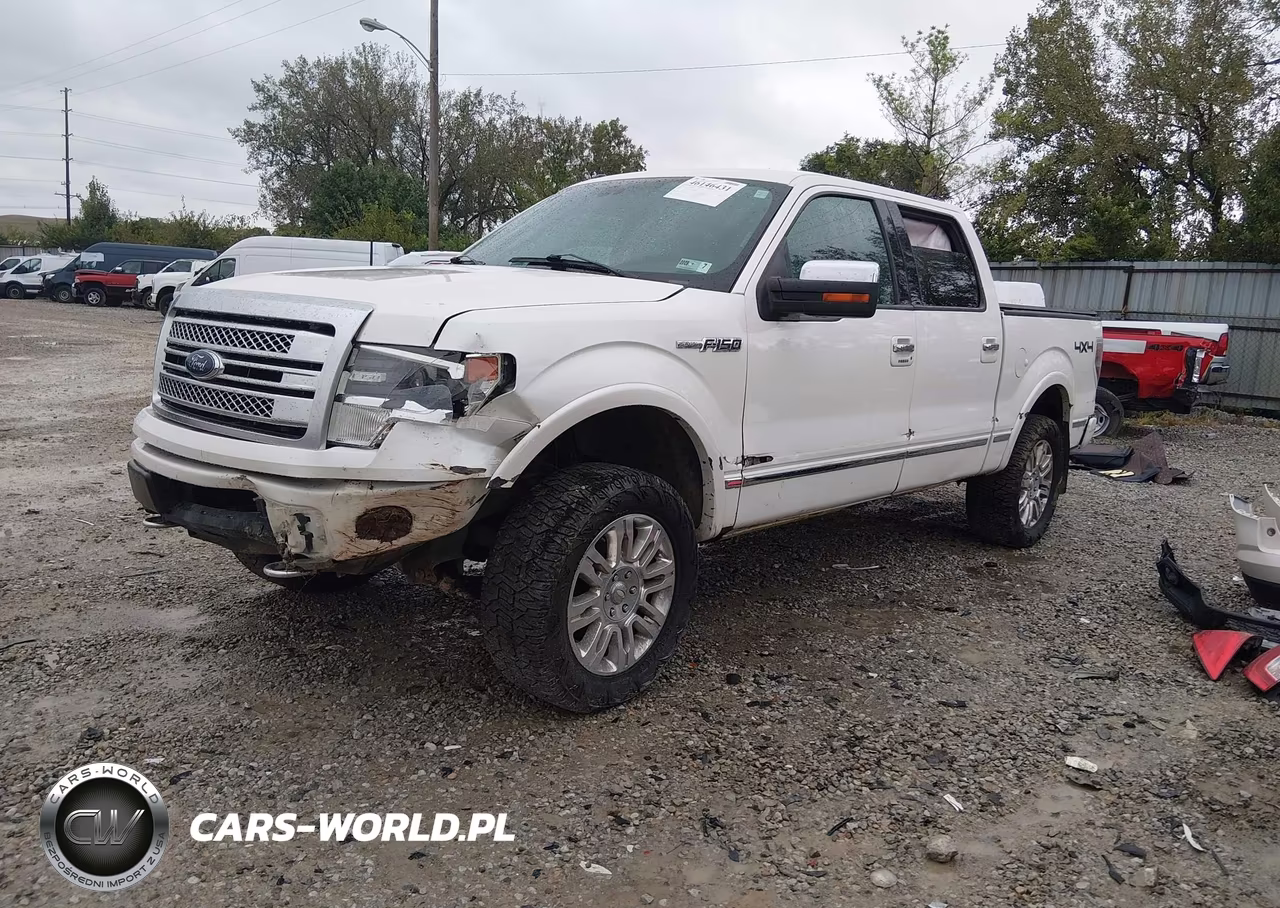 2013 Ford F-150 Platinum VIN:1FTFW1EF1DFB17858 - 2