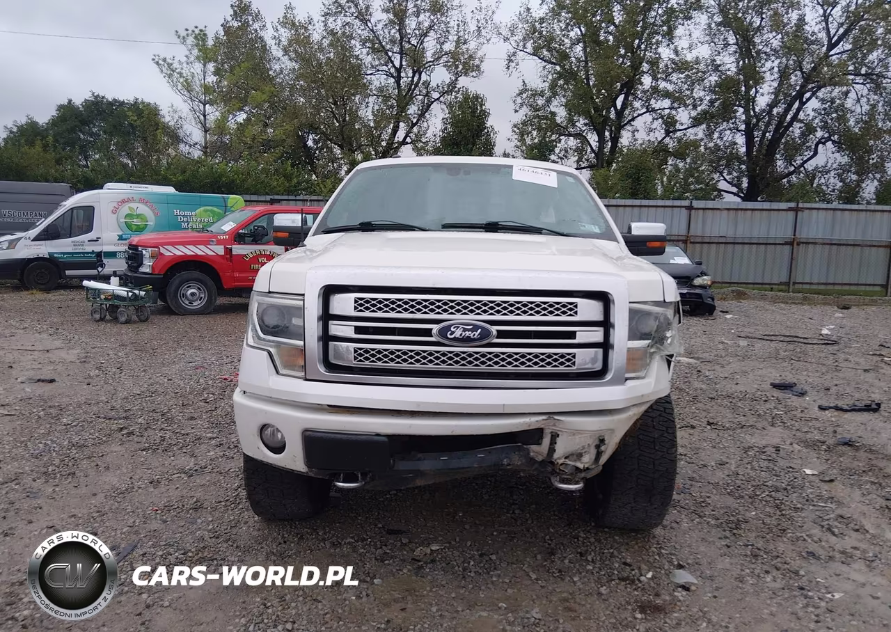2013 Ford F-150 Platinum VIN:1FTFW1EF1DFB17858 - 6