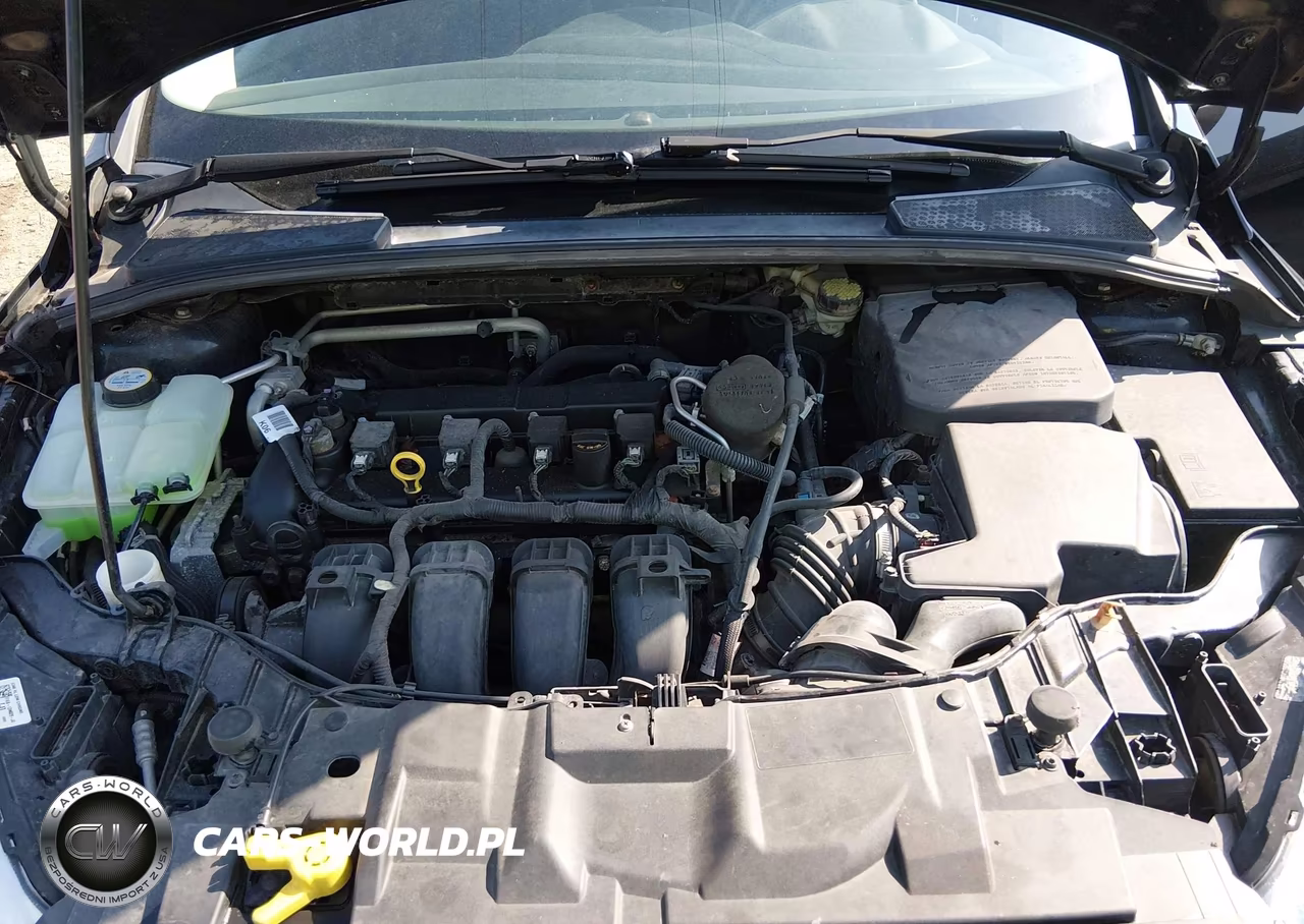 2016 Ford Focus Se VIN:1FADP3K24GL220222 - 10