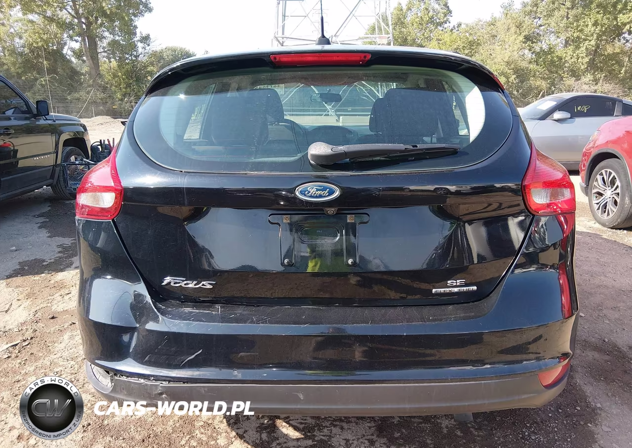 2016 Ford Focus Se VIN:1FADP3K24GL220222 - 16