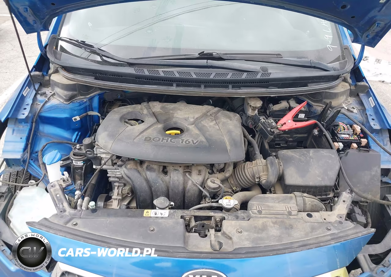 2015 Kia Forte Lx VIN:KNAFX4A6XF5355671 - 10