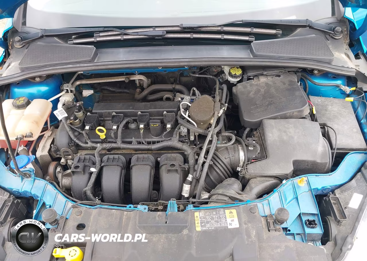 2016 Ford Focus Se VIN:1FADP3K21GL253968 - 10