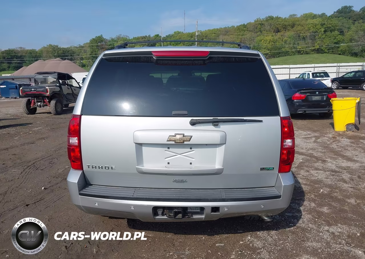 2010 Chevrolet Tahoe Lt VIN:1GNUCBE09AR182685 - 17