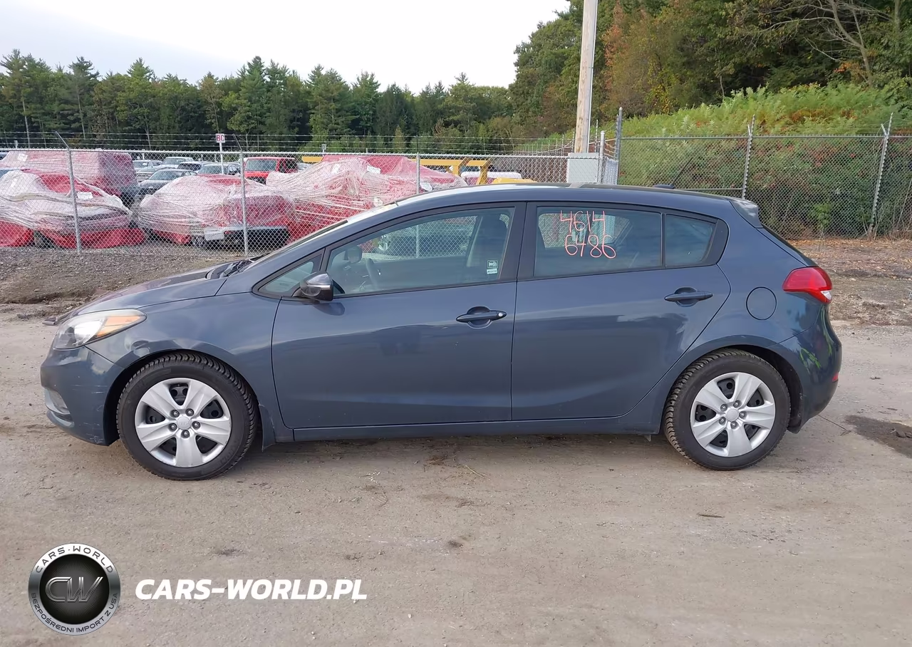 2016 Kia Forte Lx VIN:KNAFK5A81G5546547 - 12