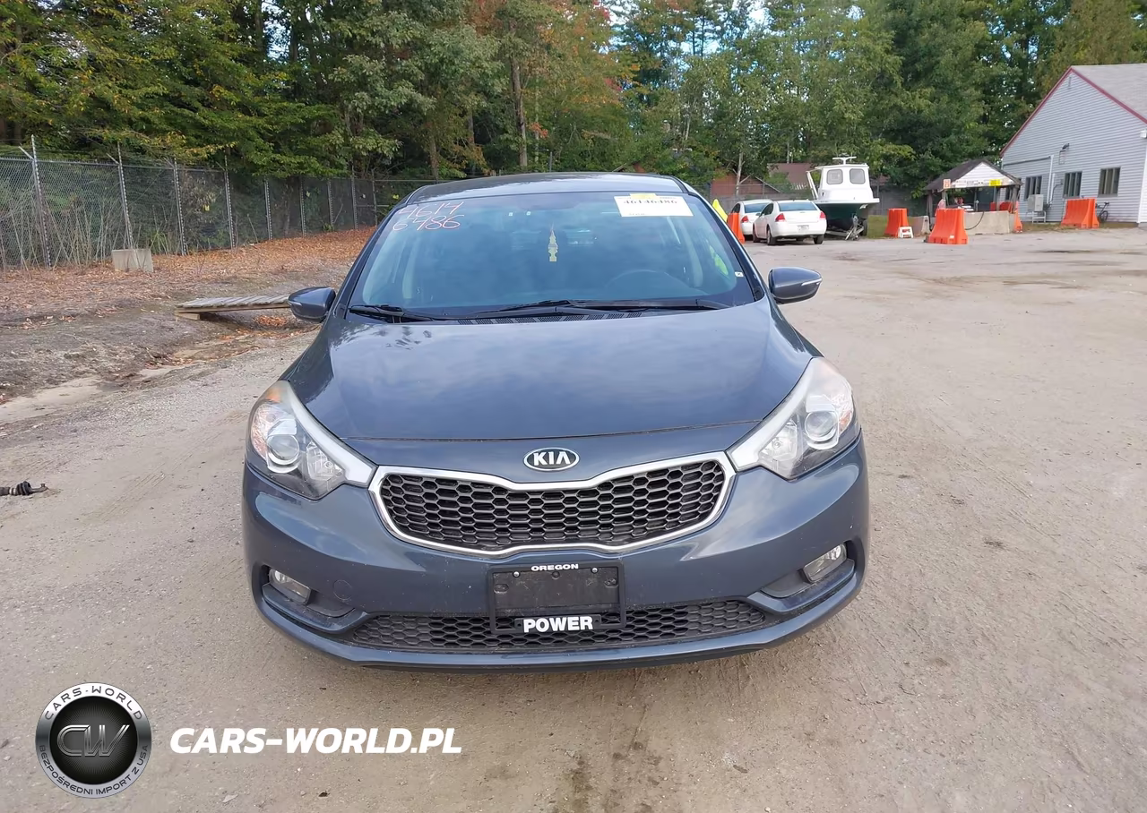 2016 Kia Forte Lx VIN:KNAFK5A81G5546547 - 13