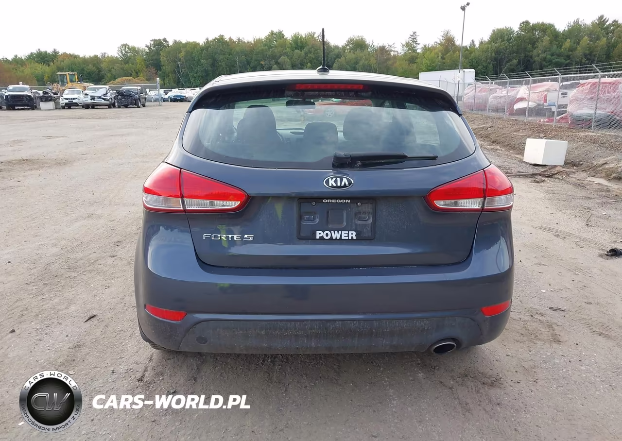 2016 Kia Forte Lx VIN:KNAFK5A81G5546547 - 15