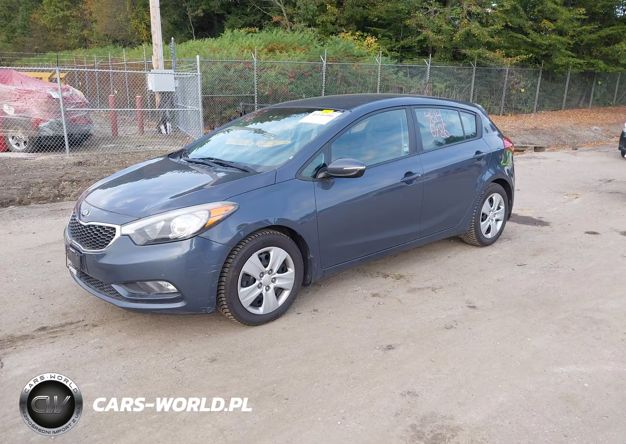 2016 Kia Forte Lx VIN:KNAFK5A81G5546547 - 2