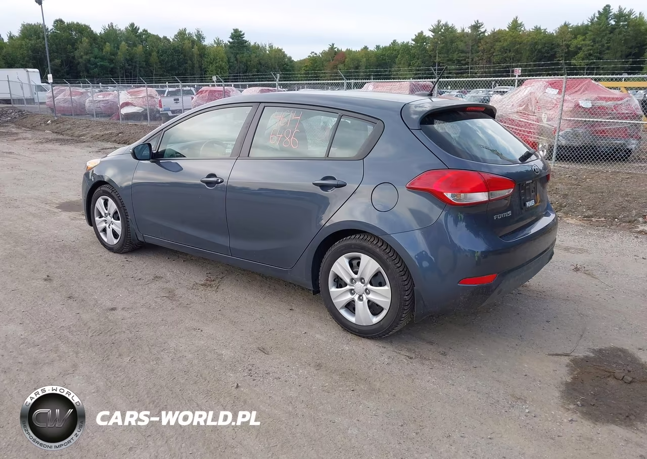 2016 Kia Forte Lx VIN:KNAFK5A81G5546547 - 3