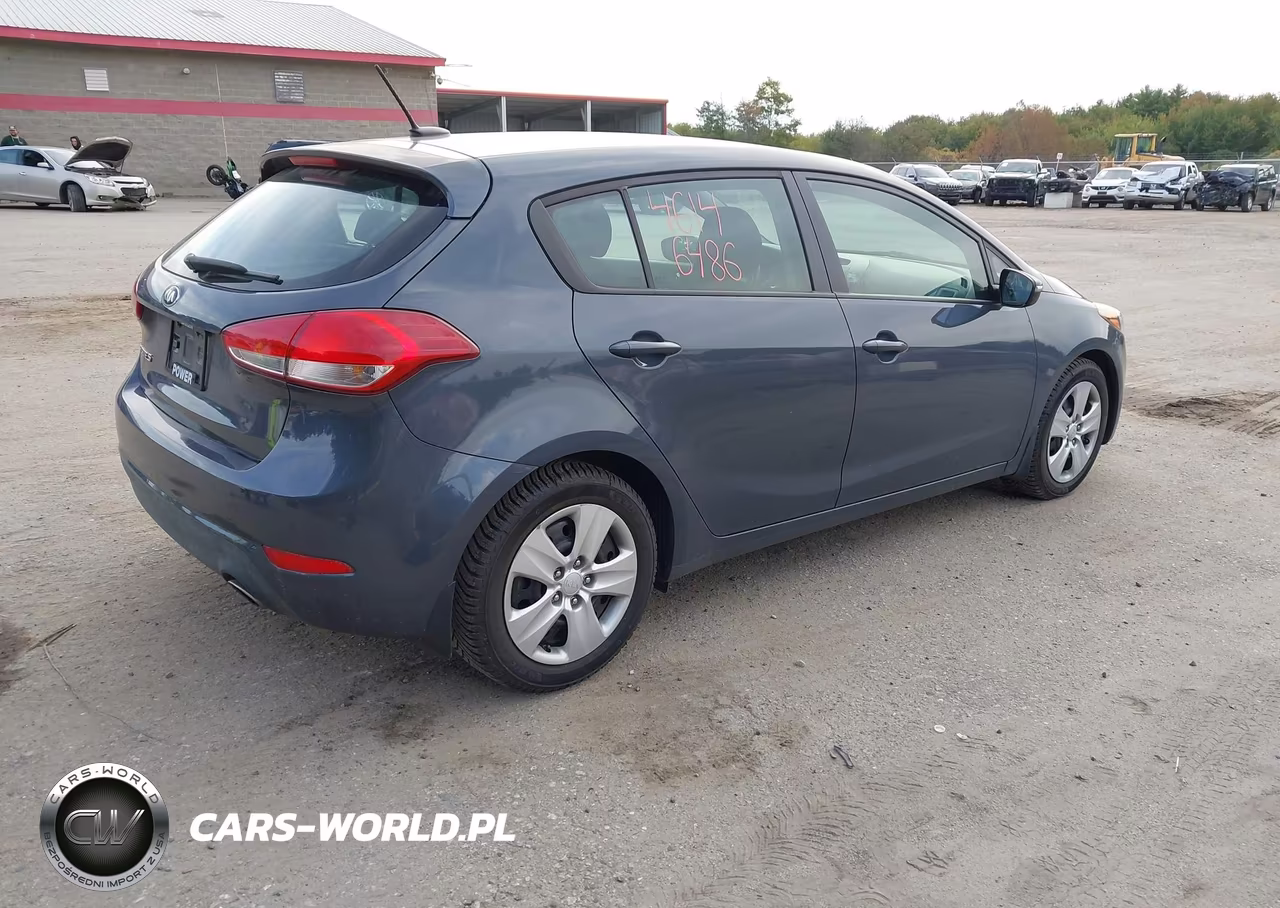 2016 Kia Forte Lx VIN:KNAFK5A81G5546547 - 4