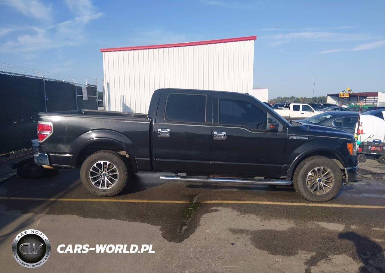 2010 Ford F-150 Lariat VIN:1FTFW1CVXAFA08028 - 13
