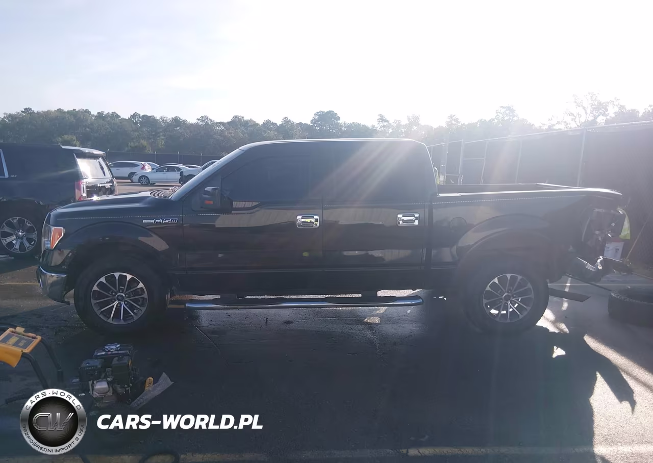 2010 Ford F-150 Lariat VIN:1FTFW1CVXAFA08028 - 14