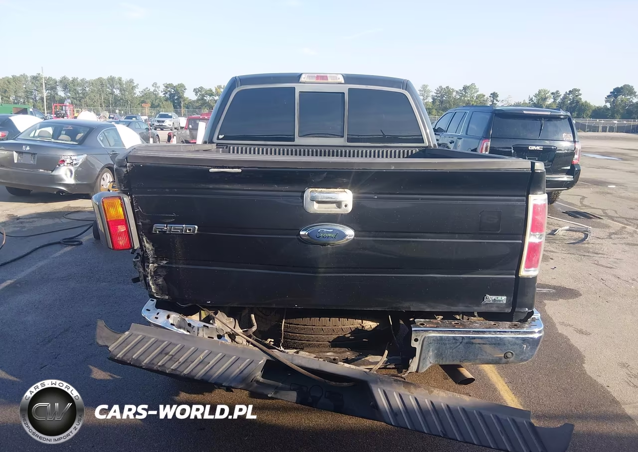 2010 Ford F-150 Lariat VIN:1FTFW1CVXAFA08028 - 16