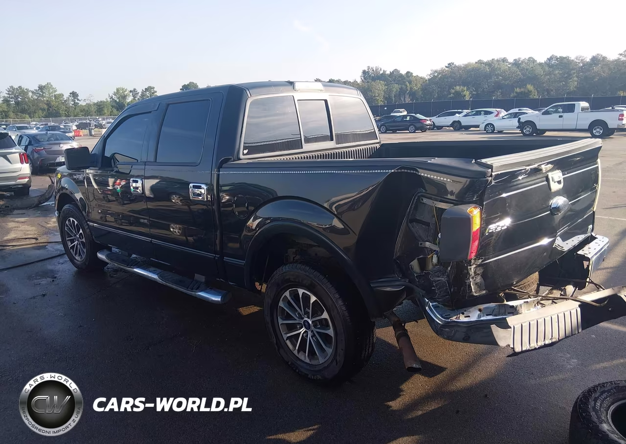 2010 Ford F-150 Lariat VIN:1FTFW1CVXAFA08028 - 3