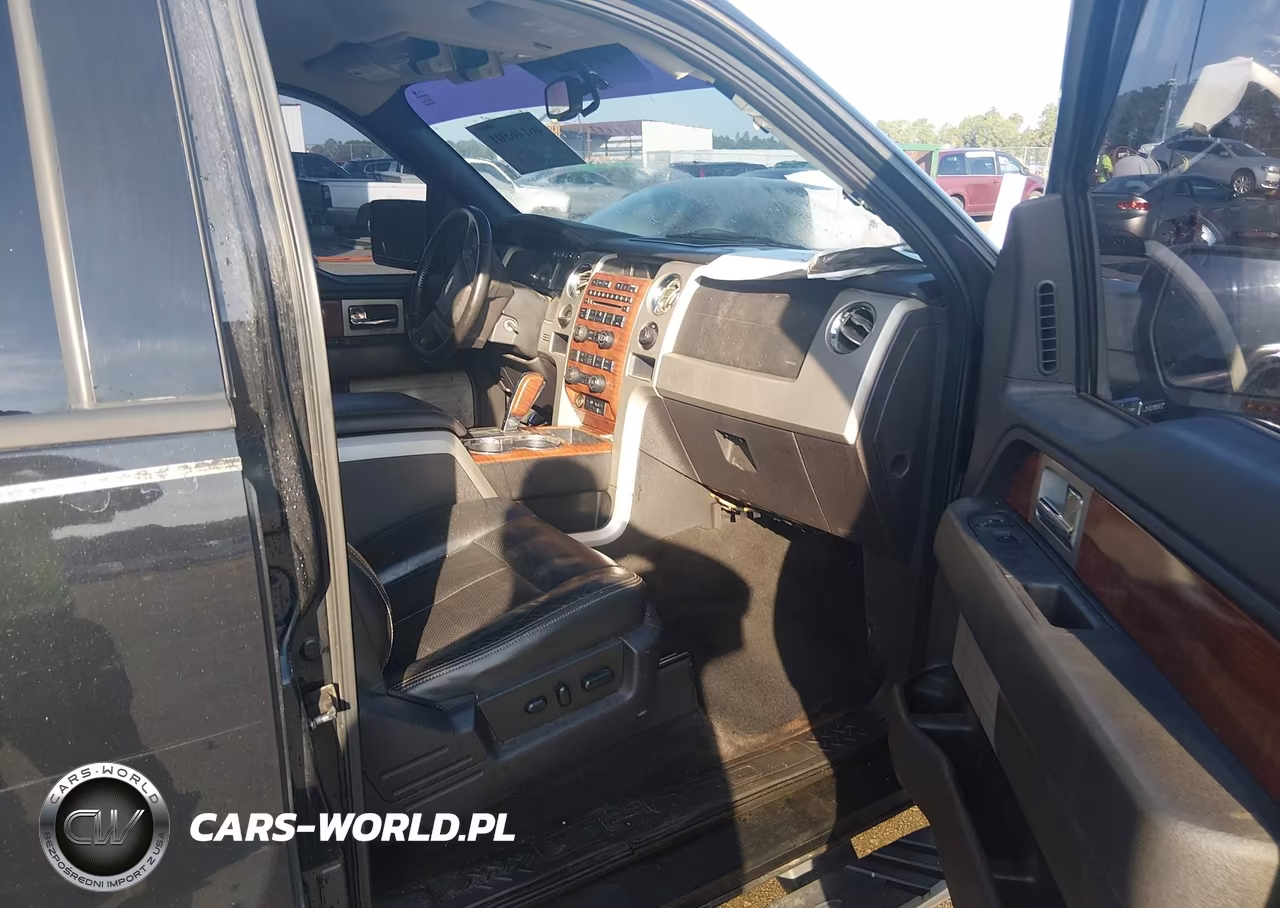 2010 Ford F-150 Lariat VIN:1FTFW1CVXAFA08028 - 5