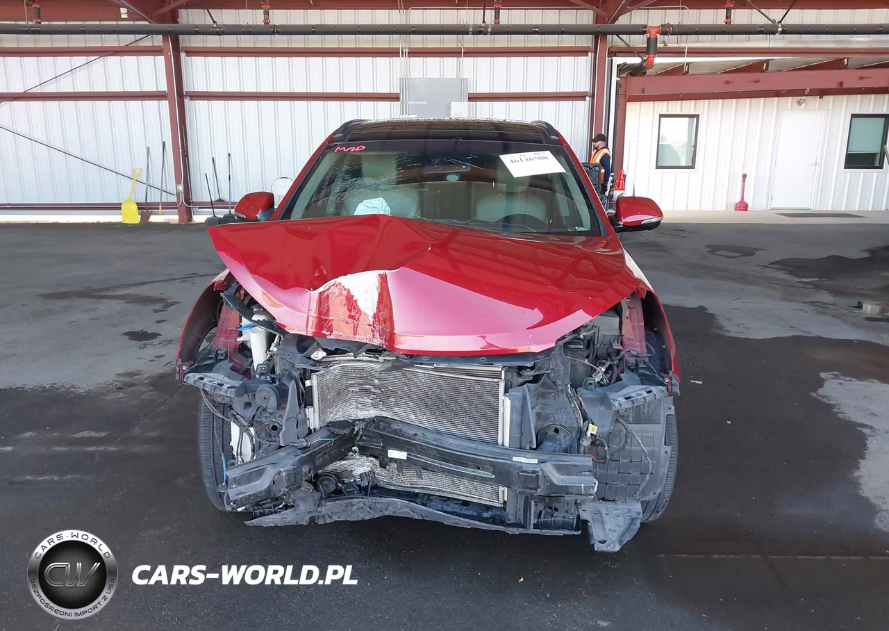 2017 Hyundai Santa Fe Limited Ultimate VIN:KM8SR4HF8HU215897 - 13