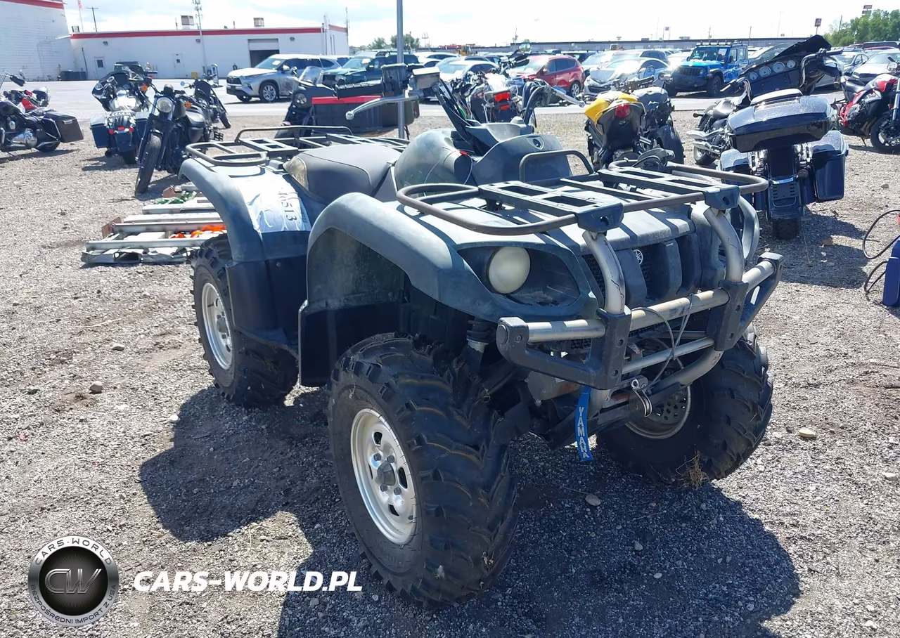 2002 Yamaha Yfm660 Fwa VIN:JY4AM02Y12C020916 - 1